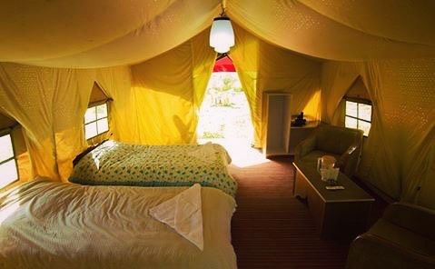 Photo of Padma Lodge Jispa, Leh Road, Jispa, Himachal Pradesh, India by M