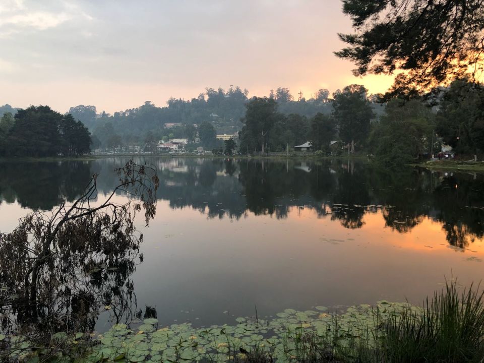 Photo of Enjoy A Quiet & Relaxed Long Weekend At Kodai Kanal in Tamil Nadu, India. 7/10 by Kirti Panchal