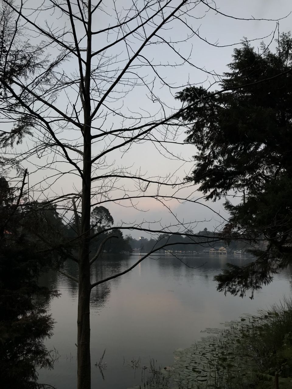 Photo of Enjoy A Quiet & Relaxed Long Weekend At Kodai Kanal in Tamil Nadu, India. 1/10 by Kirti Panchal