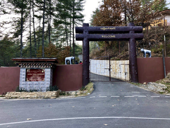 Photo of In the Land of Happiness… Bhutan by Sachin