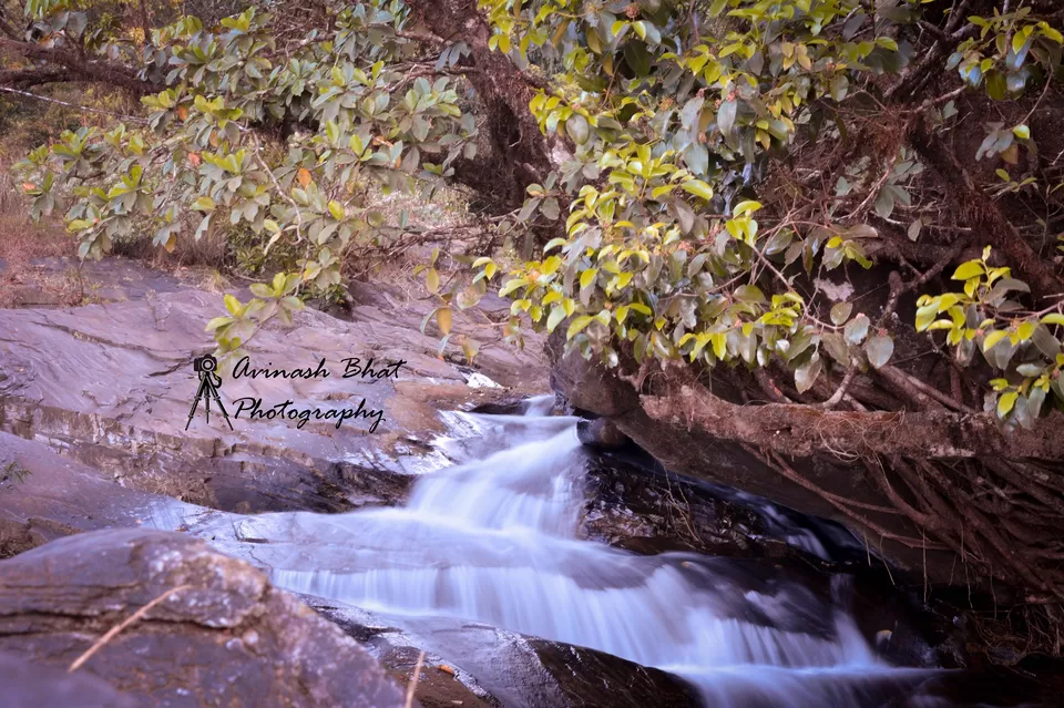 Photo of Bandaje-Arbi Falls, Madugundi, Karnataka, India by Avinash Bhat
