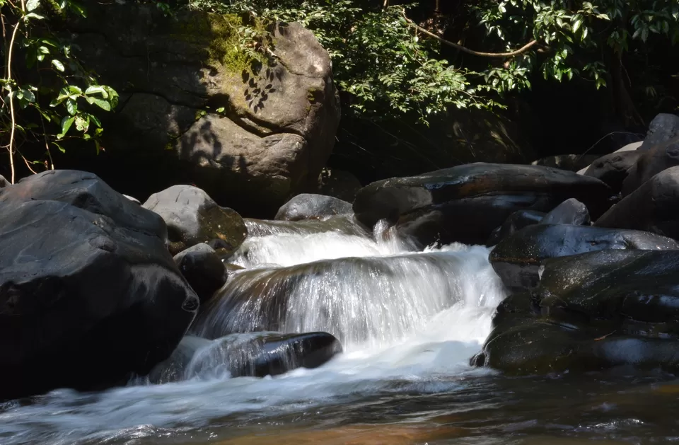 Photo of Bandaje-Arbi Falls, Madugundi, Karnataka, India by Avinash Bhat