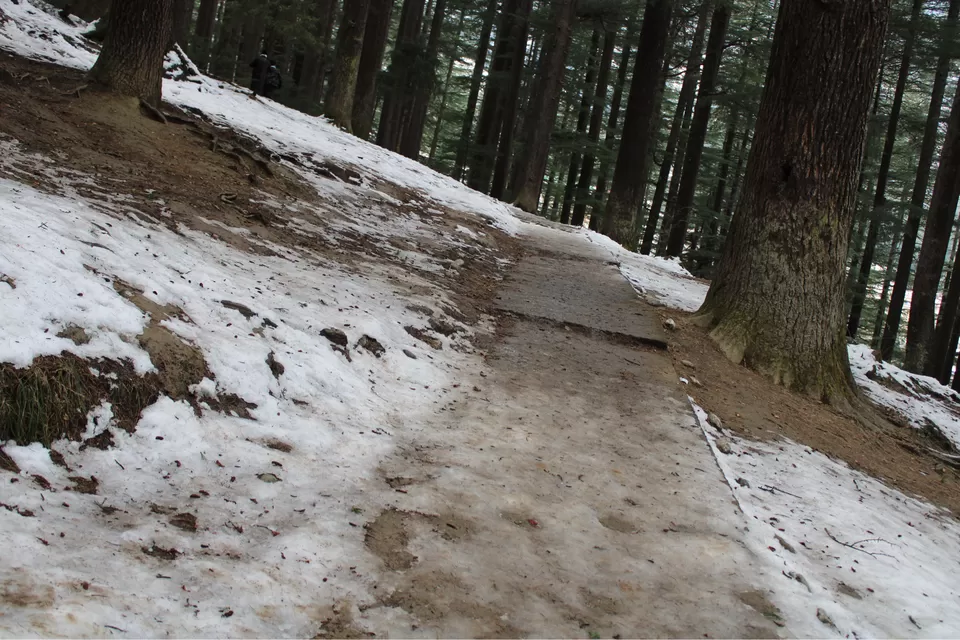 Photo of Solo Female Trip - Mum-Amritsar-Manali-Del-Mum by Nikz