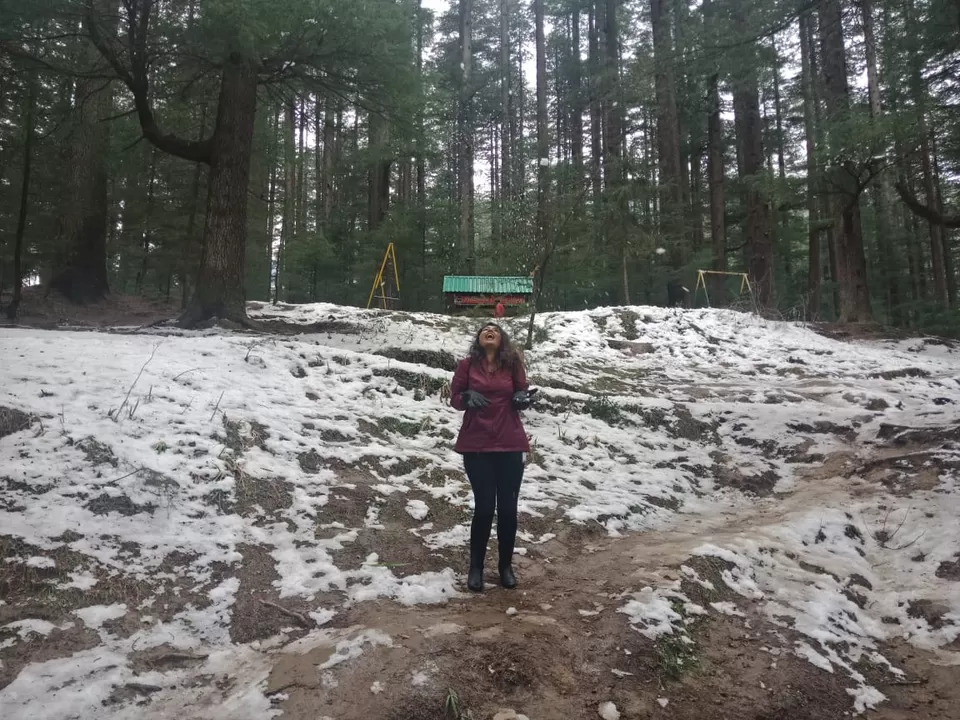 Photo of Solo Female Trip - Mum-Amritsar-Manali-Del-Mum by Nikz