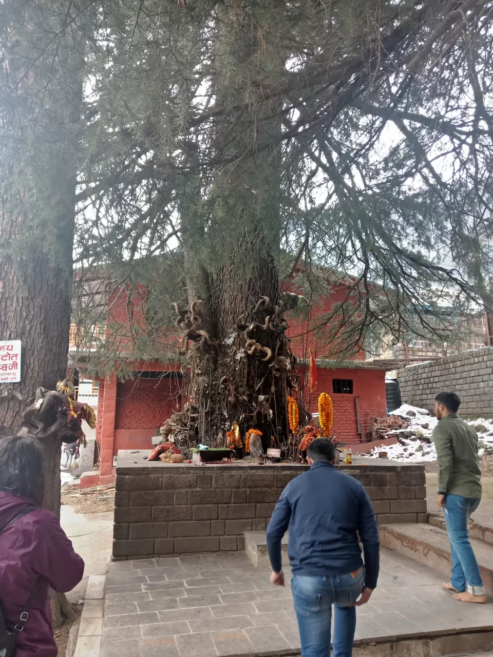 Photo of Solo Female Trip - Mum-Amritsar-Manali-Del-Mum by Nikz