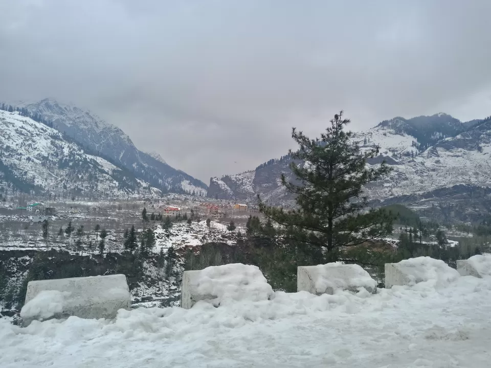 Photo of Solo Female Trip - Mum-Amritsar-Manali-Del-Mum by Nikz