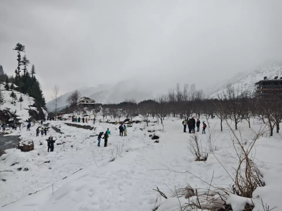 Photo of Solo Female Trip - Mum-Amritsar-Manali-Del-Mum by Nikz