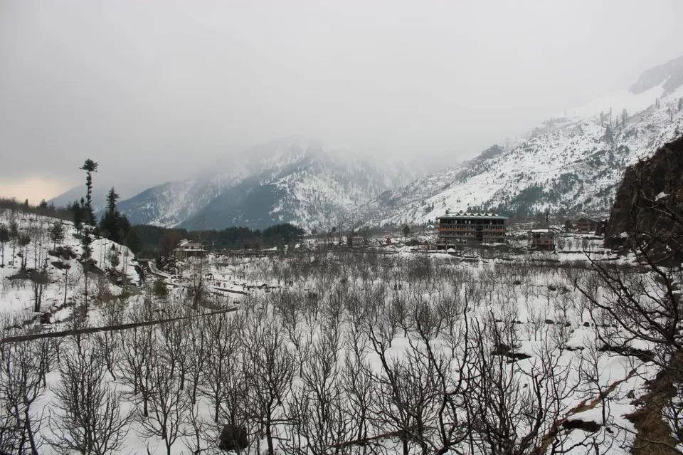 Photo of Solo Female Trip - Mum-Amritsar-Manali-Del-Mum by Nikz