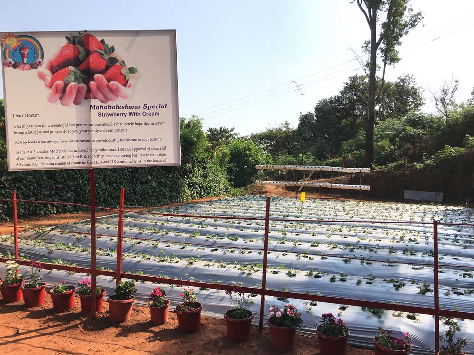 Photo of Trip to Panchgani, Mahabaleshwar 7/21 by Harshit Uppal