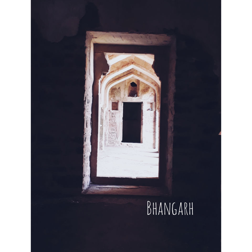 Photo of Jaipur, Rajasthan, India by Suraj Choudhary