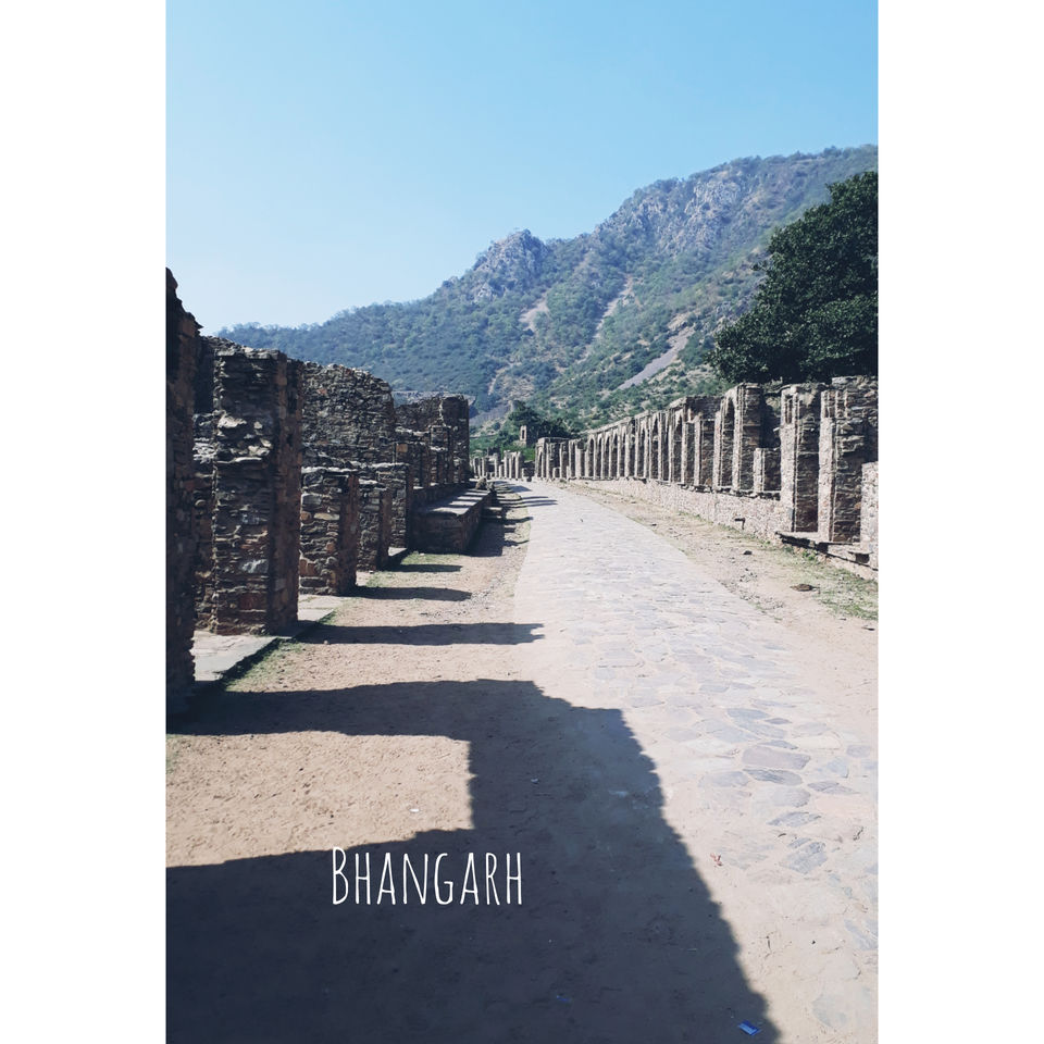 Photo of Jaipur, Rajasthan, India by Suraj Choudhary