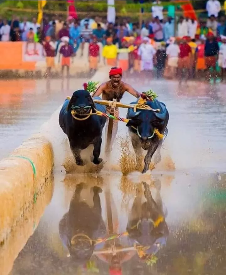 Photo of Shree Gokarnanatha Kshetra, Kudroli, Kodailbail, Mangaluru, Karnataka, India by Santosh H