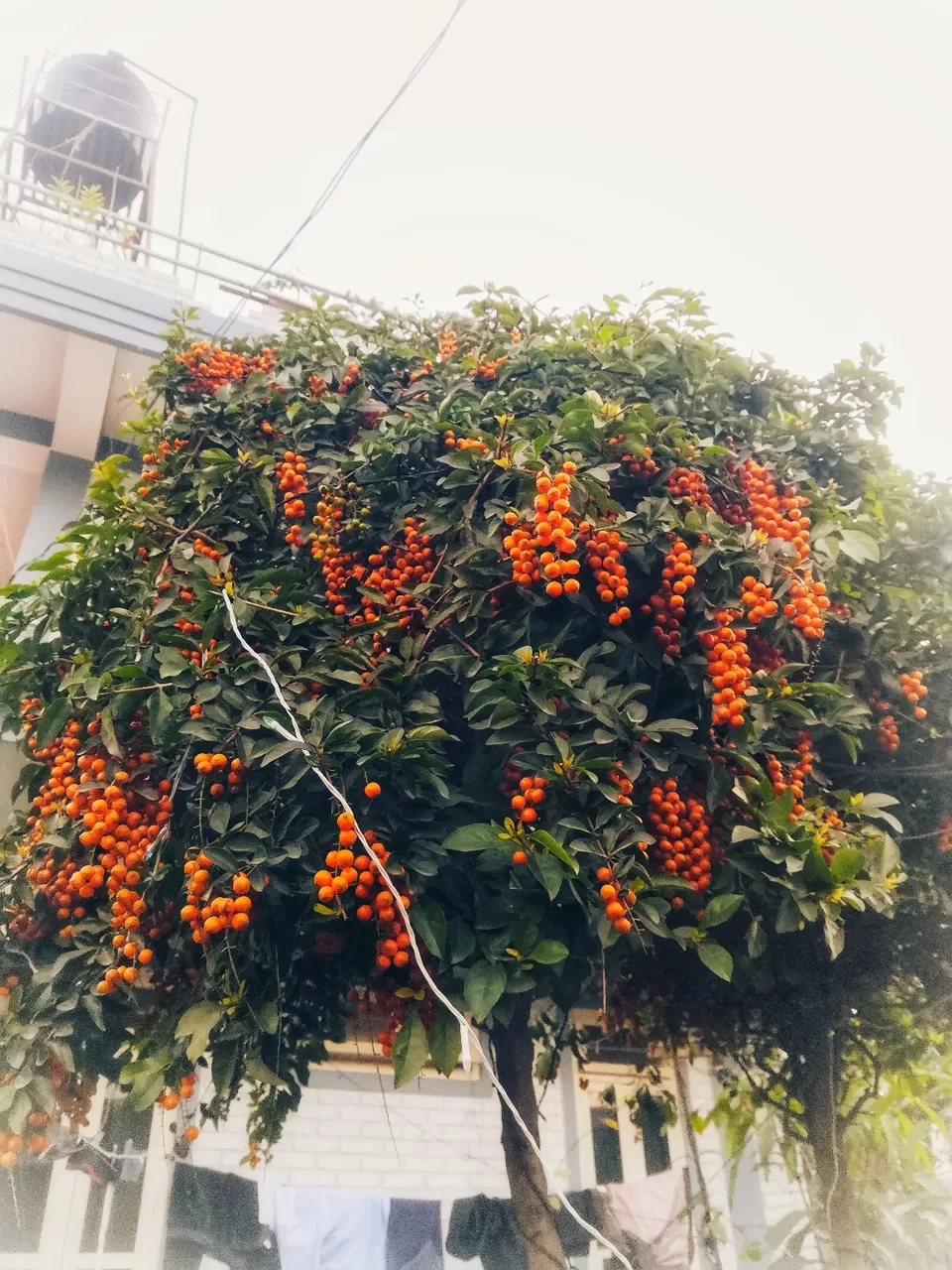 Photo of A visit to the exotic land of Manipur by Esther Phaipi