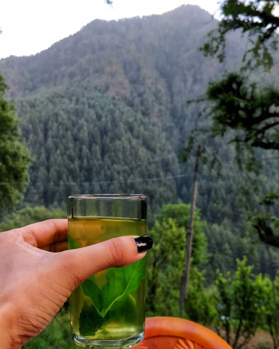 Photo of Chalal Trek Trail, Himachal Pradesh, India by Sharayu Bafna