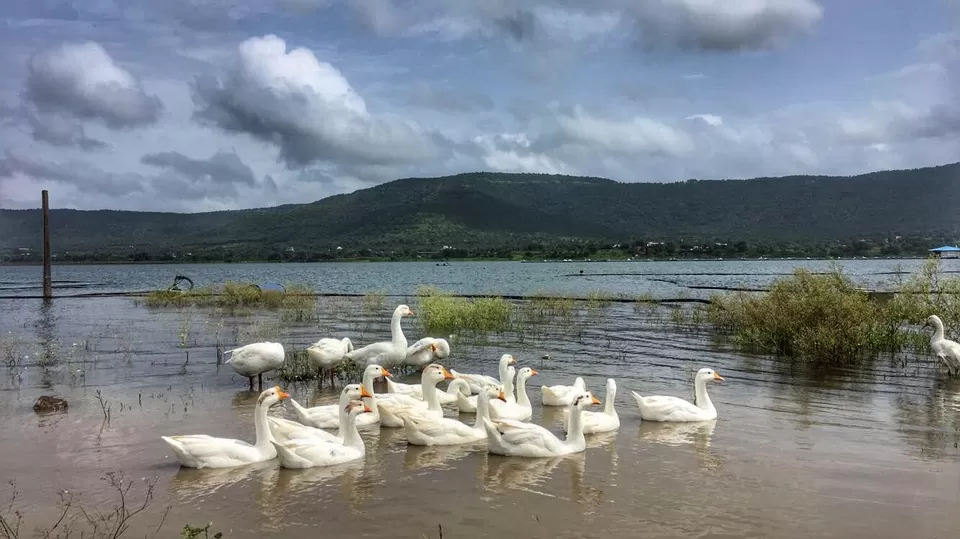 Photo of Kasarsai Gaon, Kasarsai, Maharashtra by Sharayu Bafna