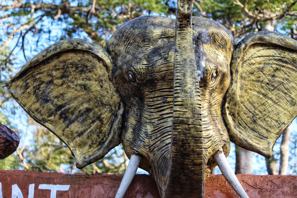 Photo of Dubare Elephant Camp, Nanjarayapatna, Karnataka, India by Sharayu Bafna