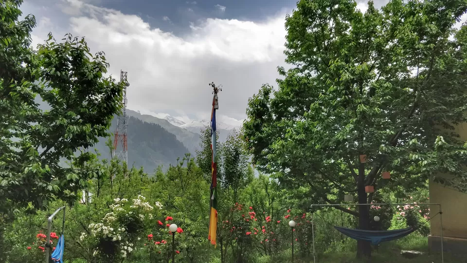 Photo of Zostel Manali, Manu Temple Road, Old Manali, Manali, Himachal Pradesh, India by Sharayu Bafna
