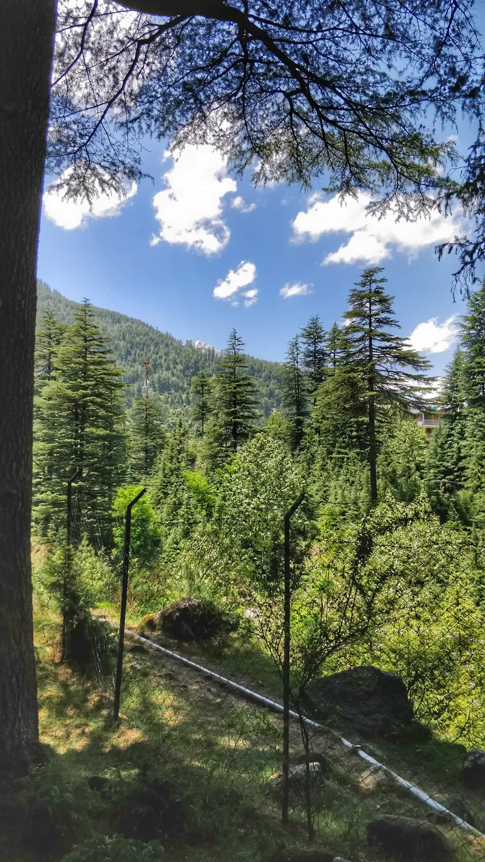 Photo of Manali Nature Park, Manali, Himachal Pradesh, India by Sharayu Bafna