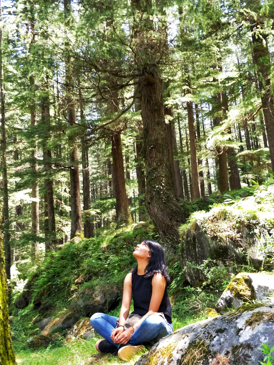 Photo of Manali Nature Park, Manali, Himachal Pradesh, India by Sharayu Bafna