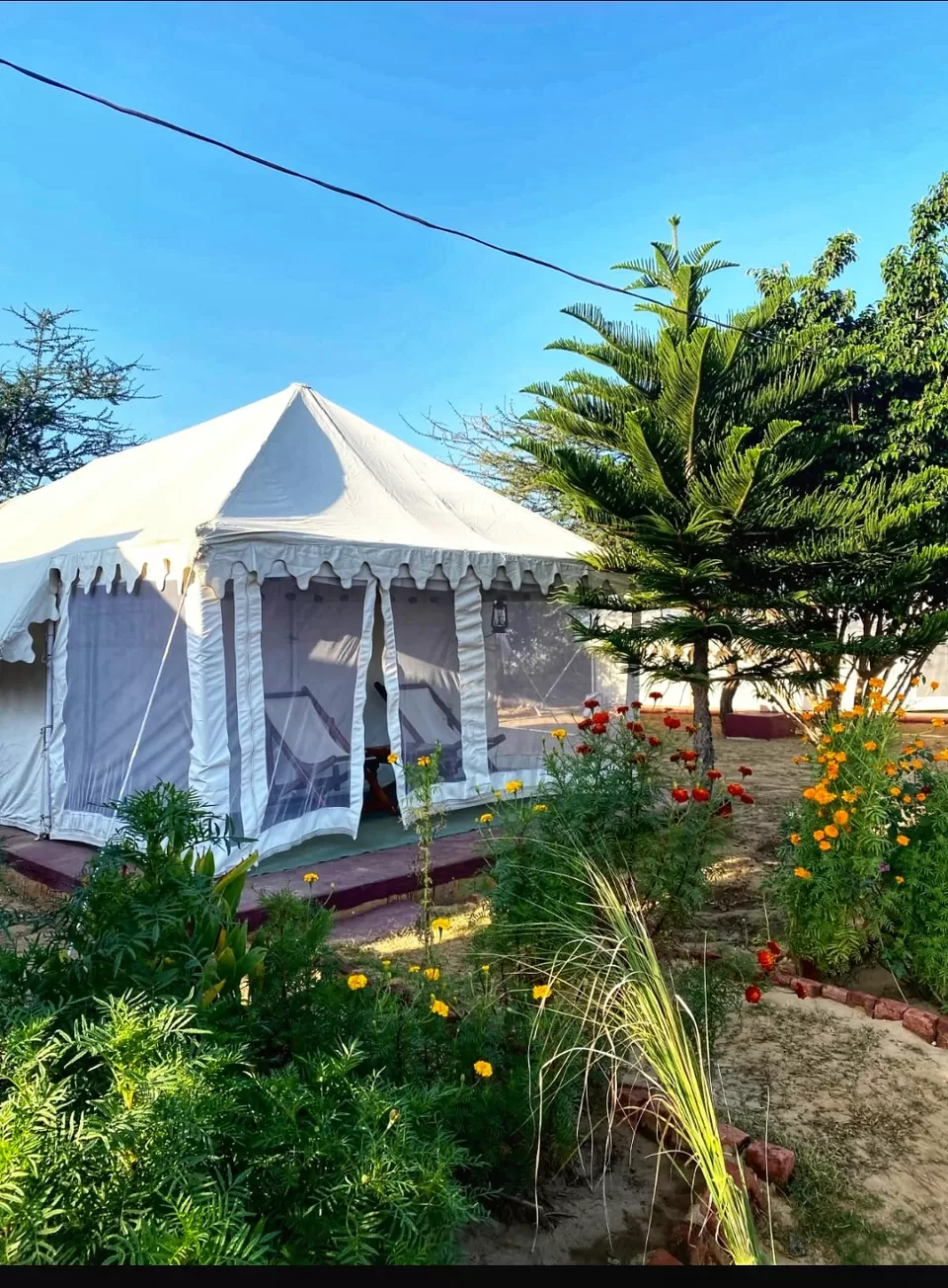 Photo of Pushkar Adventure Desert Camp, Motisar Rd, Pushkar, Rajasthan, India by Sharayu Bafna