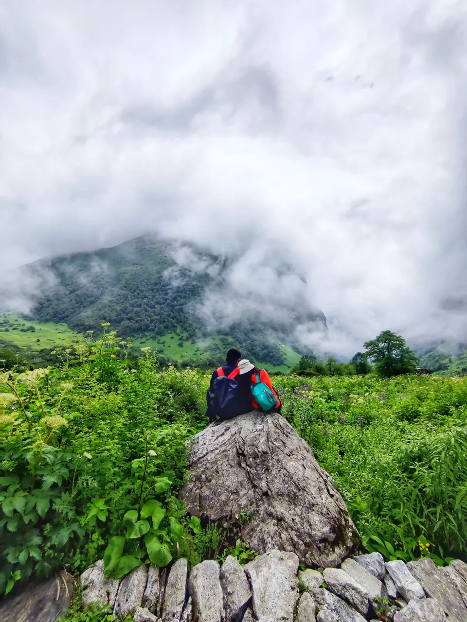 Photo of Valley of flowers and Hemkund Sahib trek by Sharayu Bafna
