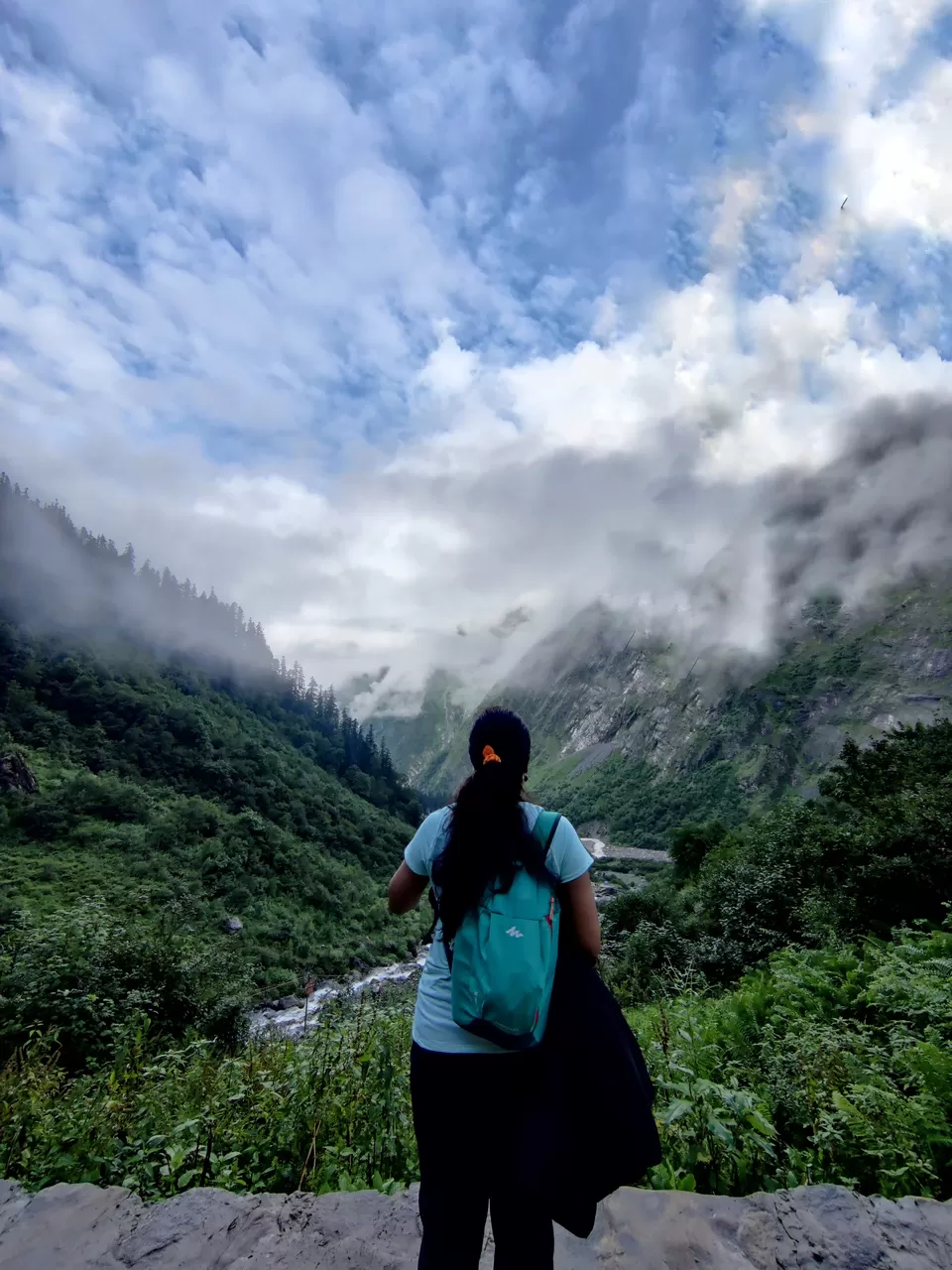 Photo of Ghangaria, Uttarakhand, India by Sharayu Bafna