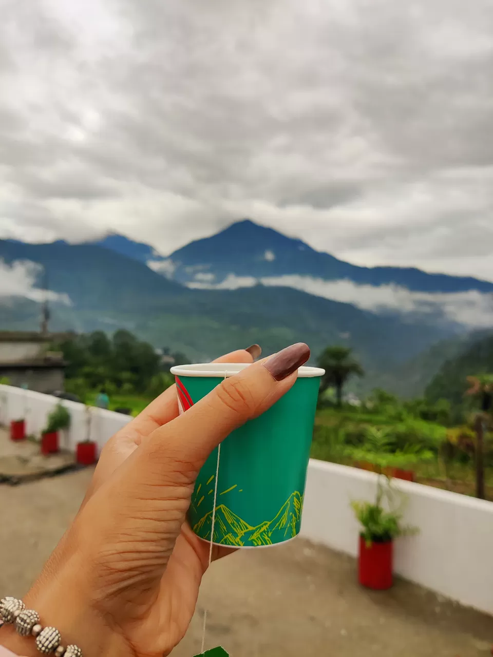Photo of Pipalkoti, Uttarakhand, India by Sharayu Bafna