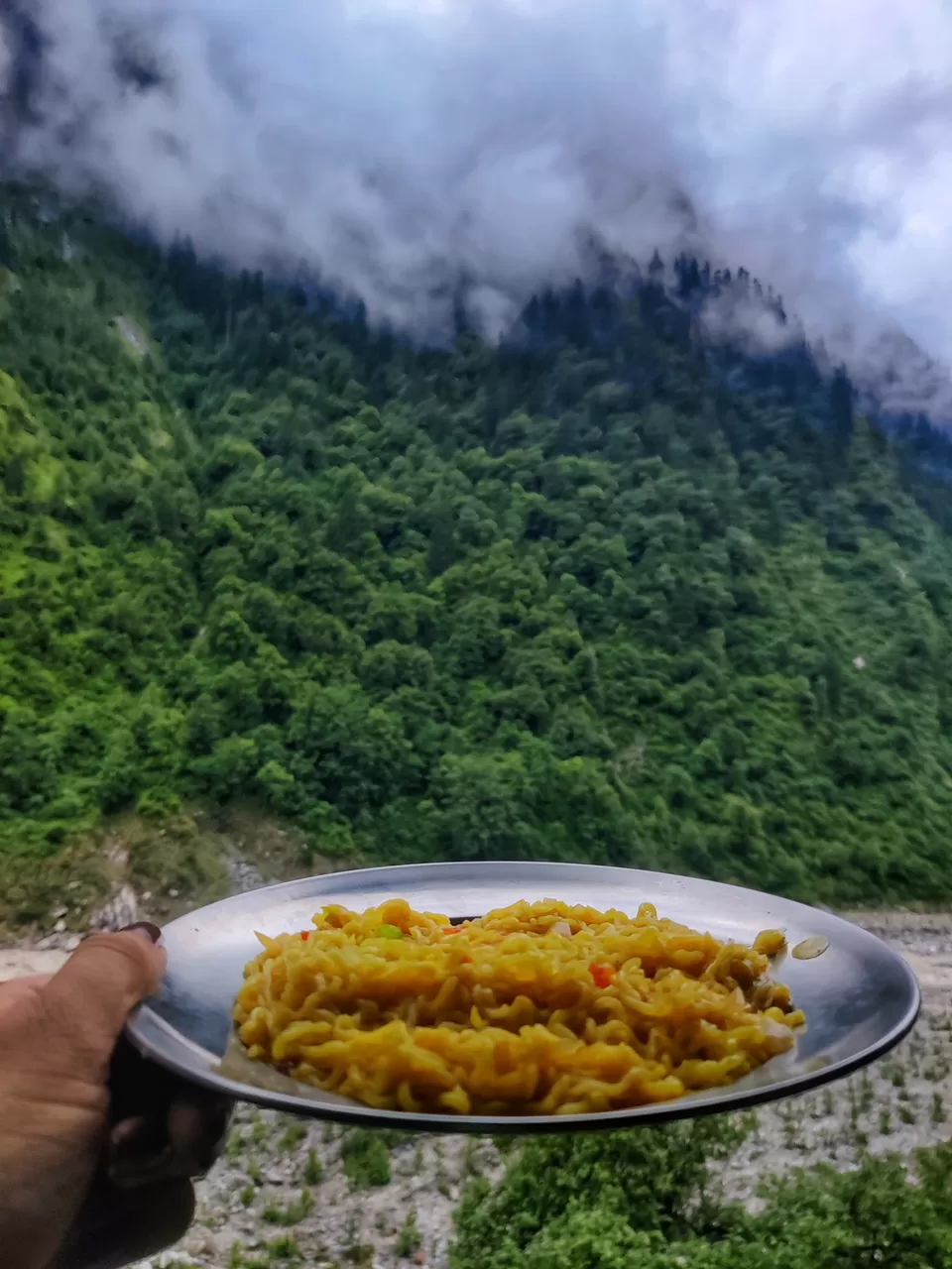 Photo of Valley of flowers and Hemkund Sahib trek by Sharayu Bafna