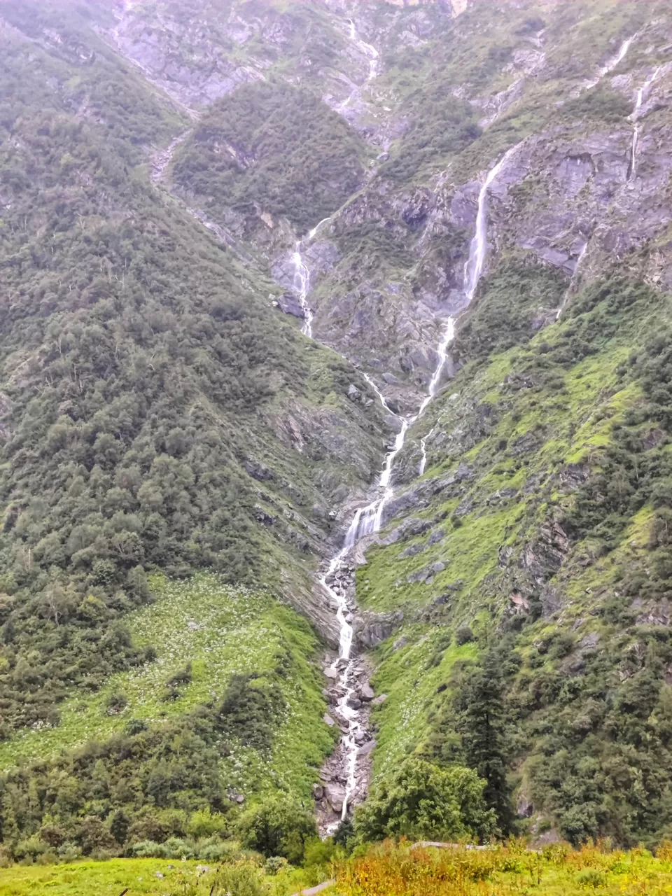 Photo of Valley of flowers and Hemkund Sahib trek by Sharayu Bafna