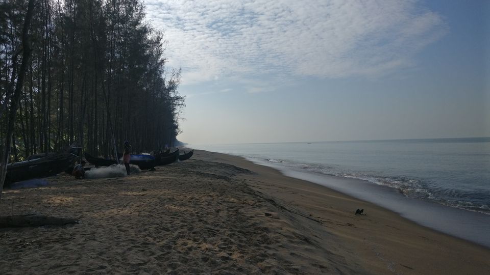 Photo of Cherai Beach, Vypin, Kerala by Samriddhi Saraswat