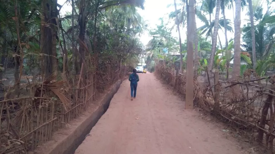 Photo of Diveagar Beach, Maharashtra by Samriddhi Saraswat