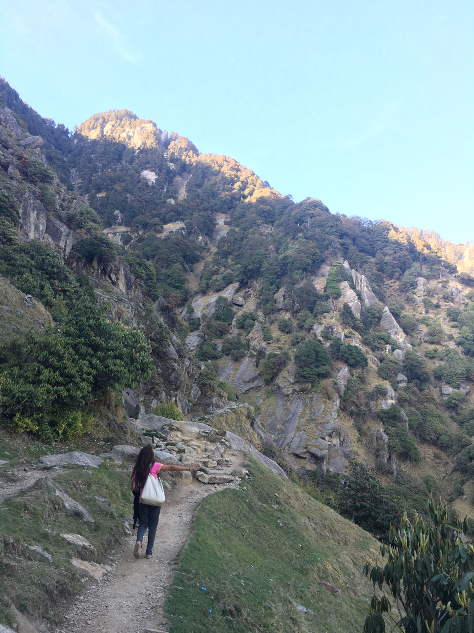 Photo of Trekk to triund (Gifts in weekends) By - Albert Charles by Albert charles