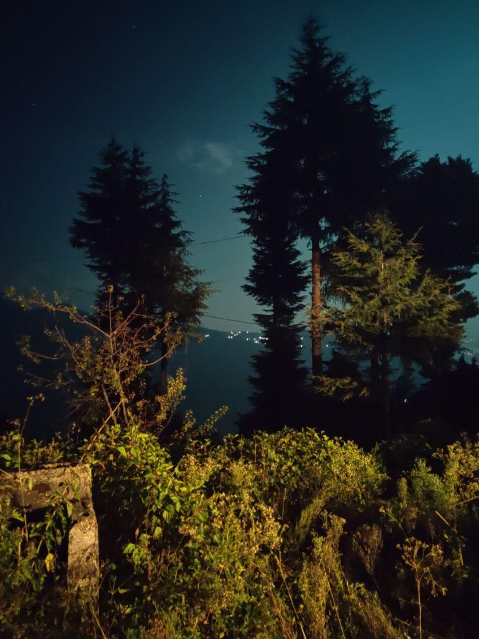 Photo of Rudraprayag, Uttarakhand, India by Ayush Sinha