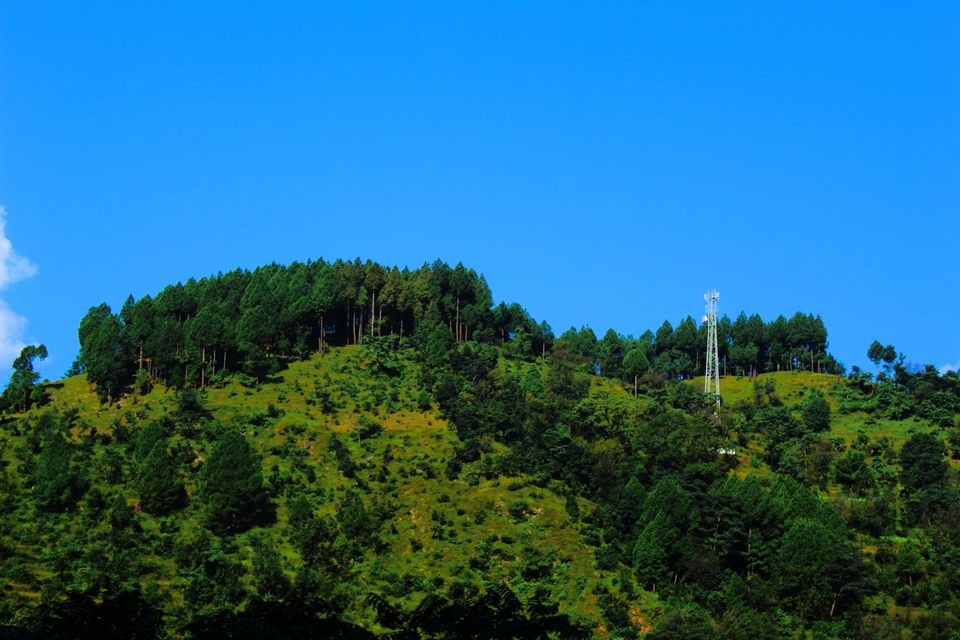 Photo of Tunganath - Shiva's abode in the meadows by Ayush Sinha