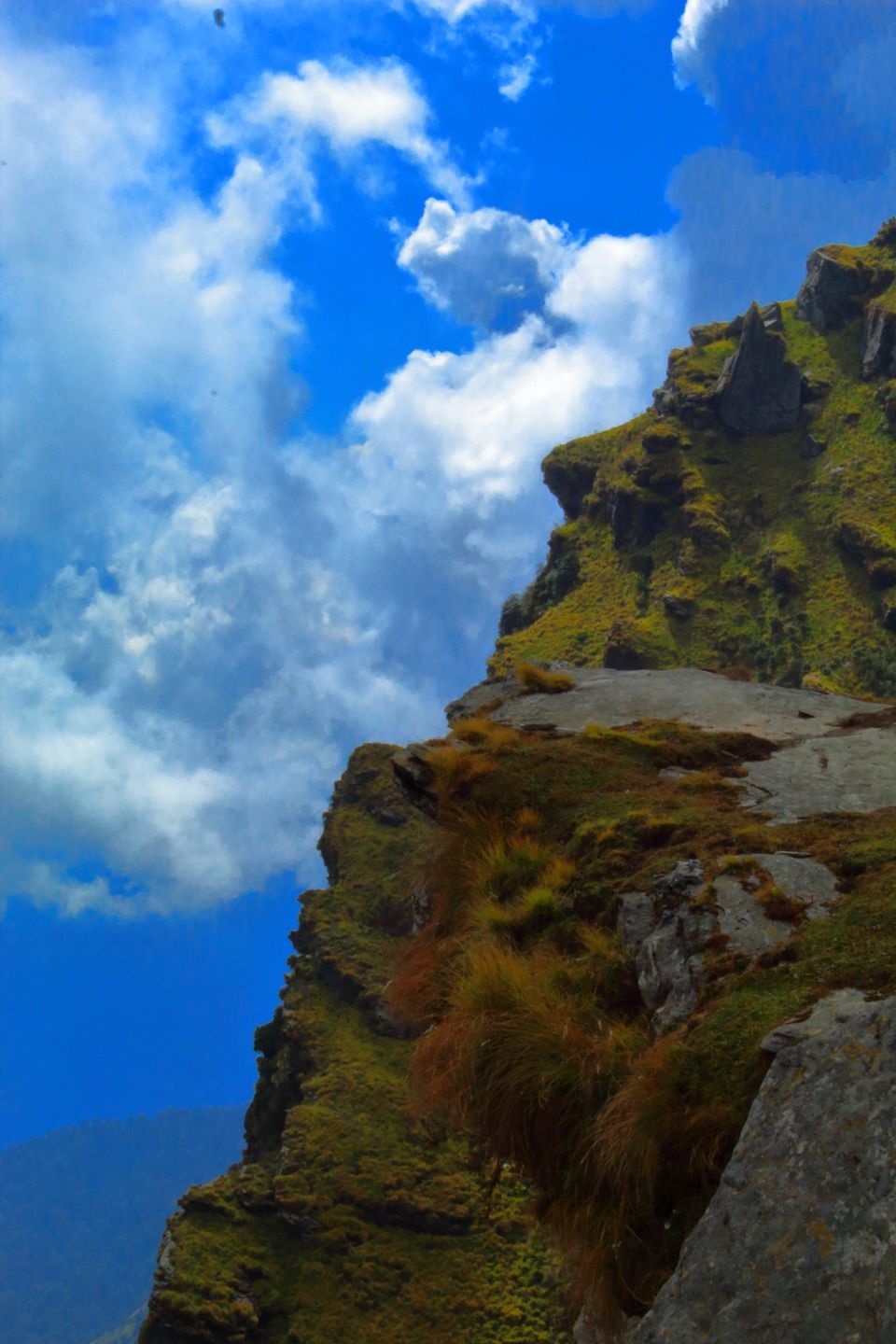 Photo of Chopta, Uttarakhand, India by Ayush Sinha