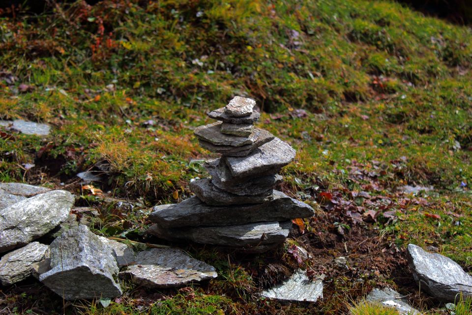 Photo of Chopta, Uttarakhand, India by Ayush Sinha