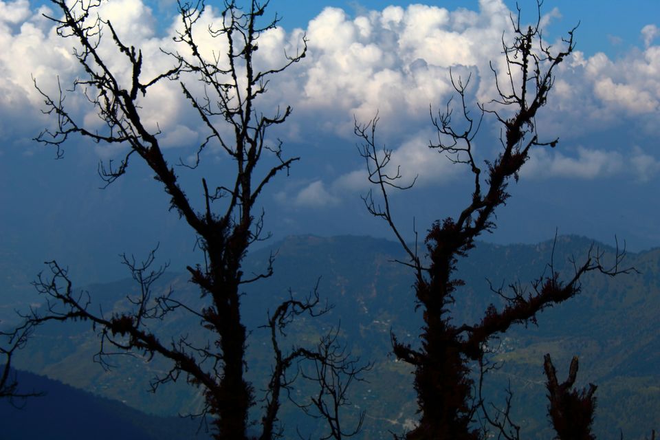 Photo of Chopta, Uttarakhand, India by Ayush Sinha