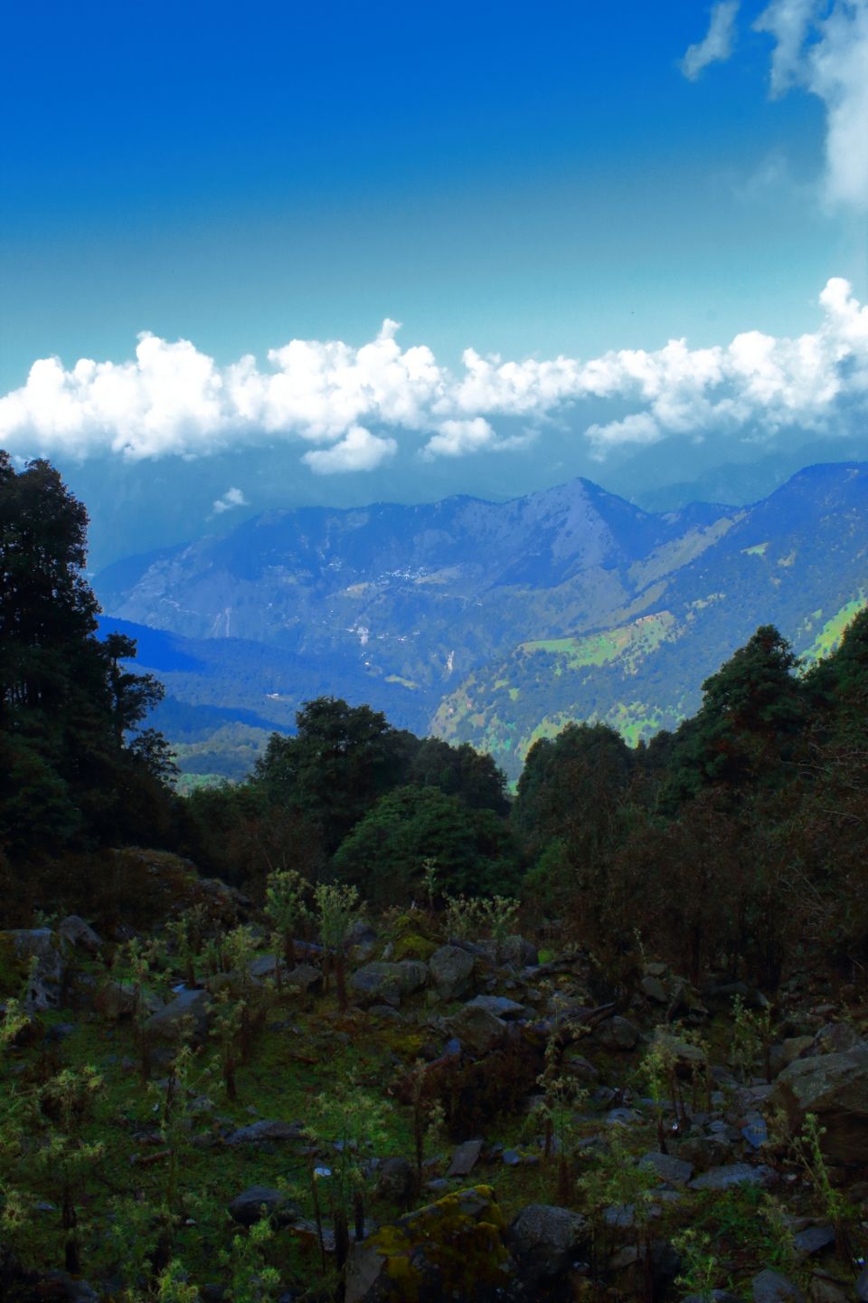 Photo of Chopta, Uttarakhand, India by Ayush Sinha
