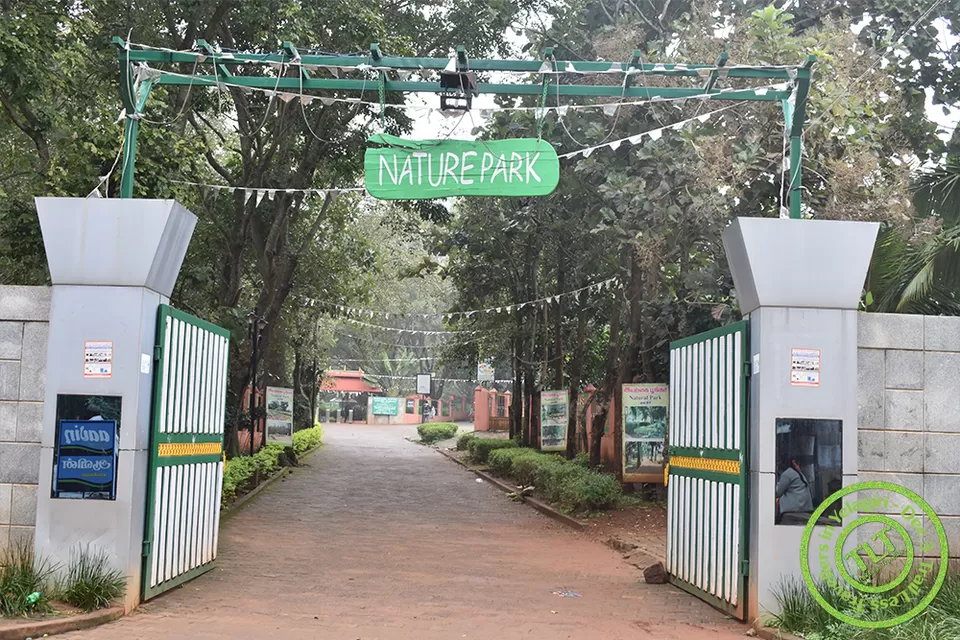 Photo of Yelagiri, A perfect hill station to hangout for a day by TrailLess Traveller