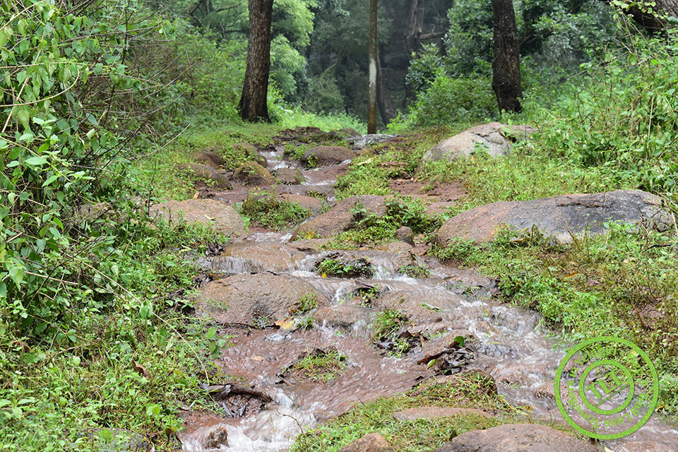 Photo of Yelagiri, A perfect hill station to hangout for a day by TrailLess Traveller