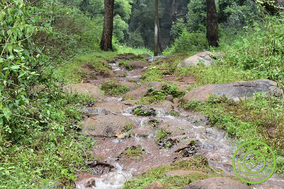 Photo of Yelagiri, A perfect hill station to hangout for a day by TrailLess Traveller
