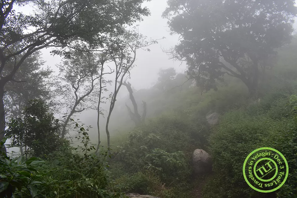 Photo of Yelagiri, A perfect hill station to hangout for a day by TrailLess Traveller