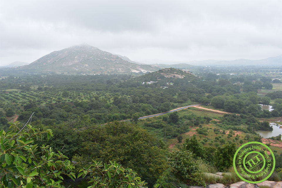Photo of Horsley Hills, The Empyrean 1/11 by TrailLess Traveller