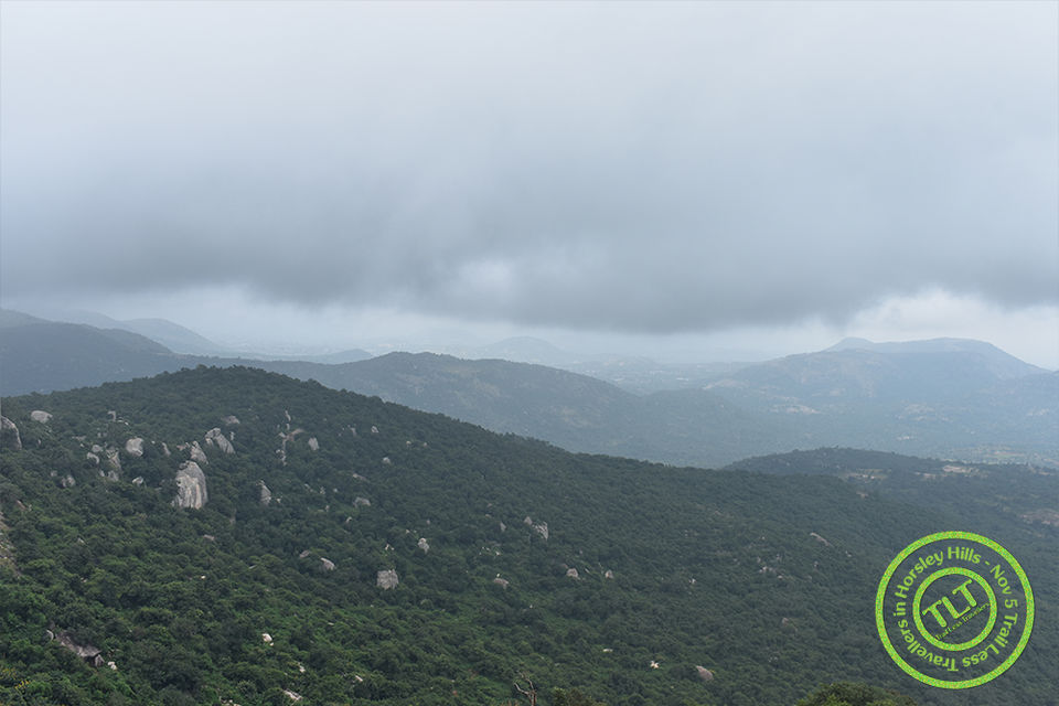 Photo of Horsley Hills, The Empyrean 6/11 by TrailLess Traveller