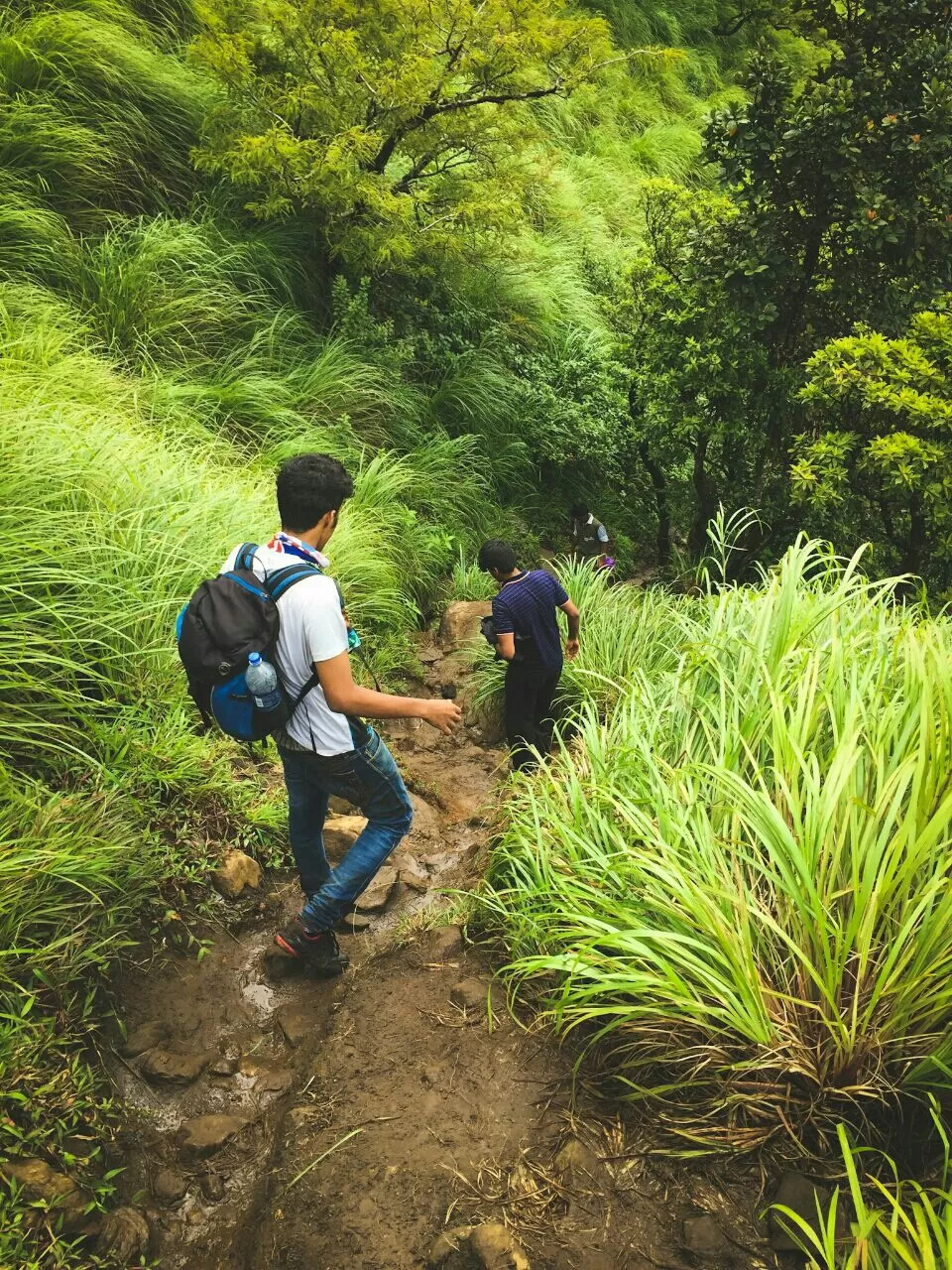 Photo of Trekking in Wayanad by Sreehari Vk
