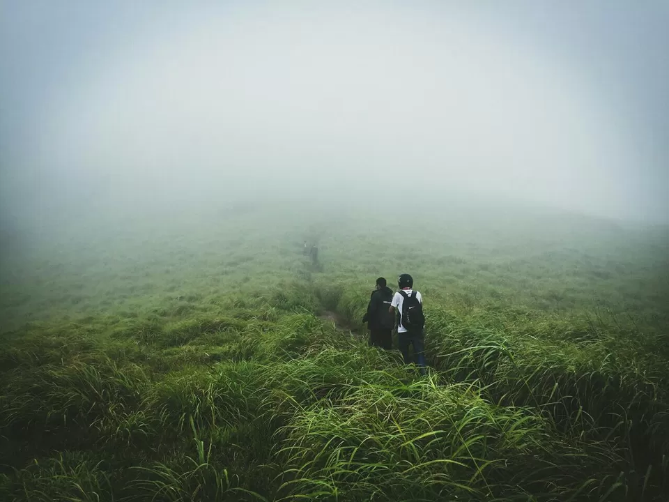 Photo of Trekking in Wayanad by Sreehari Vk
