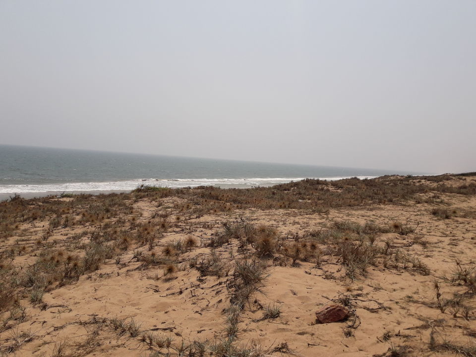 Photo of Spending idyllic holidays in supreme silence of Gopalpur on sea, Odisha 2/14 by Dr. Rajesh Chakraborty