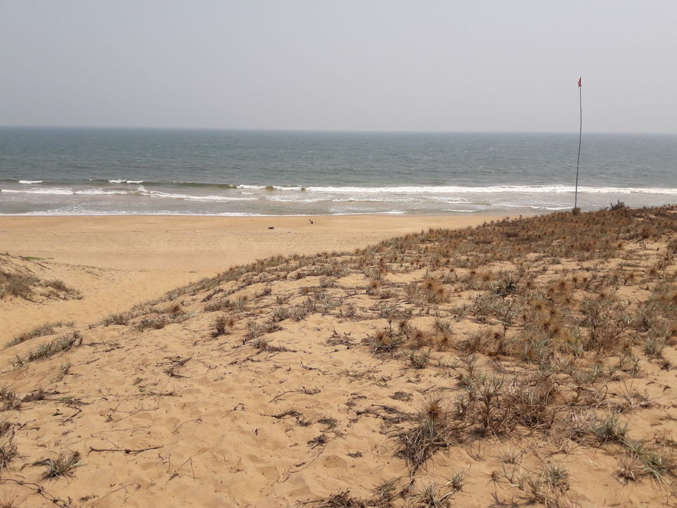 Photo of Spending idyllic holidays in supreme silence of Gopalpur on sea, Odisha 1/14 by Dr. Rajesh Chakraborty