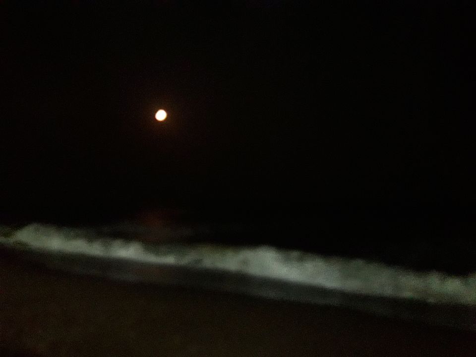 Photo of Spending idyllic holidays in supreme silence of Gopalpur on sea, Odisha 10/14 by Dr. Rajesh Chakraborty