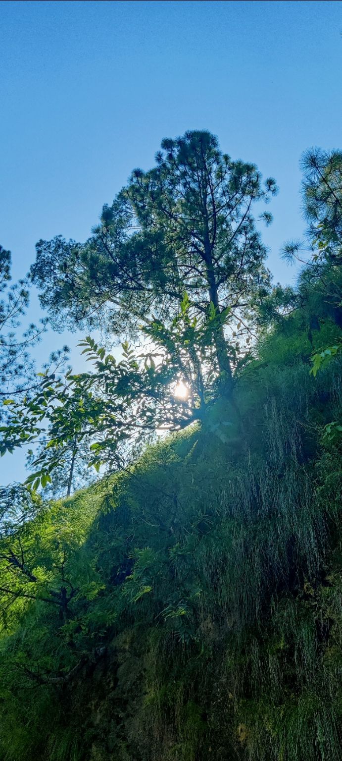 Photo of Chaukori by Nikita Bisht